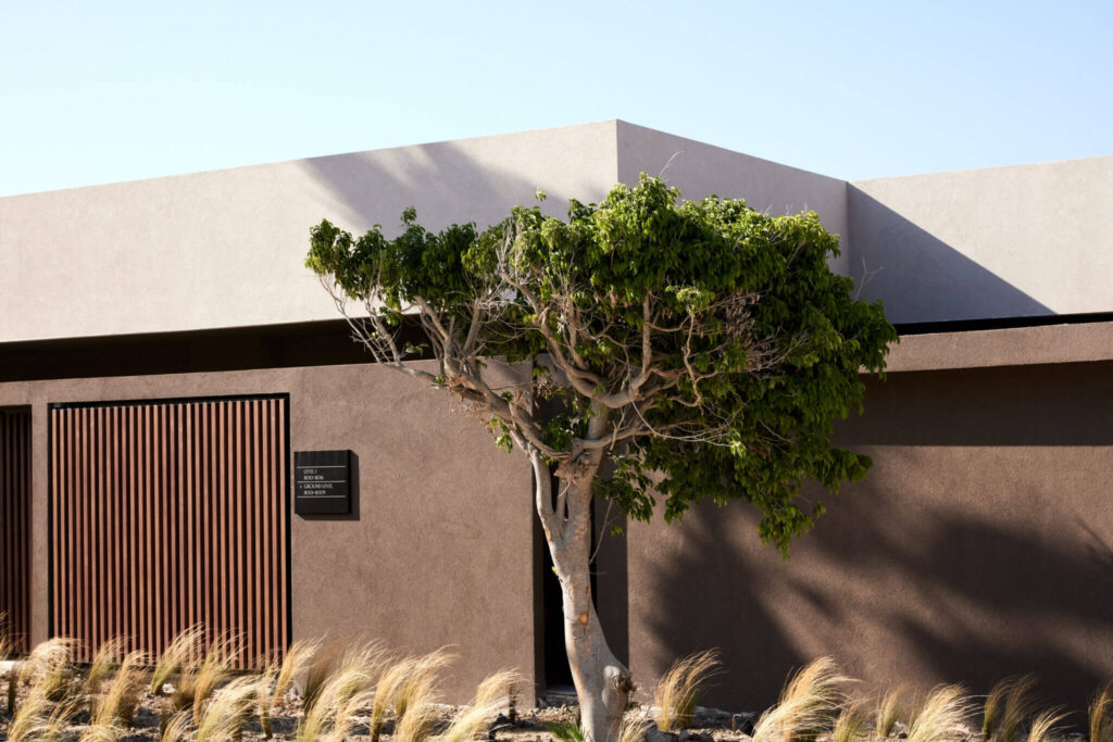 Ella_Rhodes_Elissa_Architecture-HT_02